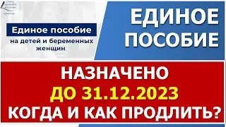 Когда подавать новое заявление на единое пособие.
