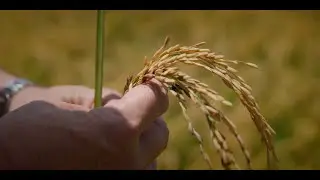 Good Lands - Episode 1