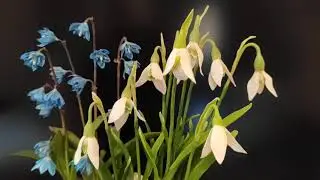 Весенний букет из полимерной глины ручной работы