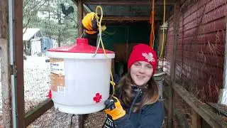Winterizing the Chicken & Turkey coops