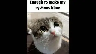 wawa cat: Im Radioactive