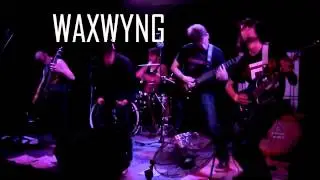 8.16.13 Hard Rock Resurgence @ Quincy's Pub / feat. Waxwyng, Viral, Nescience, Etheral, Caribou