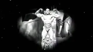 Welcome to Maxiraw