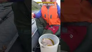Пугать рыбу в ведре не обязательно!