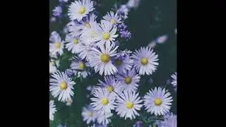 [FREE] Nas x Ye x J. Cole x Kendrick Lamar x Mac Miller x Isaiah Rashad x Logic Type Beat | 