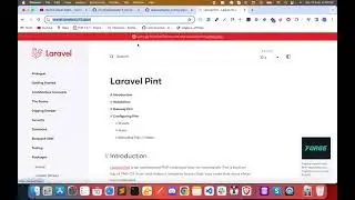 2 PHP Coding Standards | Using PHP CS Fixer (PHP Coding Standards Fixer) in Laravel - Laravel Pint