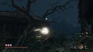 The Hardest mini boss in Sekiro