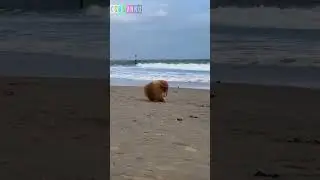 Коротко о погоде  