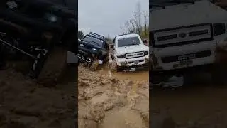 I bought a Nissan - suffer with it yourself! Reliable Toyota is down! 