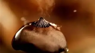 【只要平凡-童声版 3个小时】 fatigue relief music  轻音乐 钢琴音乐 -  疗愈音乐 - 放松解压,放鬆身心,輕音樂 ,適合放鬆,療癒,舒眠,減壓 ,读书