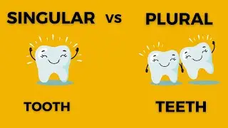 Mastering Singular and Plural Nouns in English | Comprehensive Guide #singular&plural #grammar