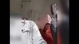 Точик зан Саги дузахт