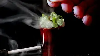 Making Pipe Tobacco: From Seed to Bowl