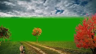Nature Background Video / Background Video Effects hd /Green Screen Effects /Green Screen Background