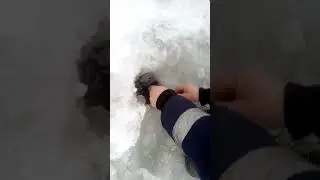 Рыбалка зимой 2019 проверка сети щука