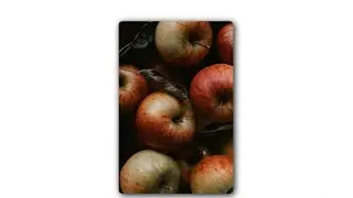 Image Hover Effect