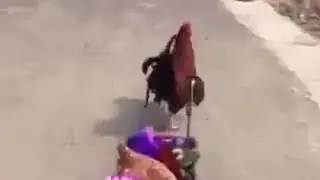 Прикол!