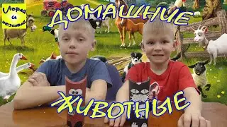 Домашние животные видео для детей