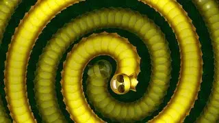 Wormax.io © One Epic Golden Wormaxio Run Through The World - Wormax io Hack Pro Player ✓