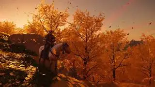 Majestic Ghost Of Tsushima