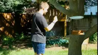 Minecraft Tree VFX 2.0