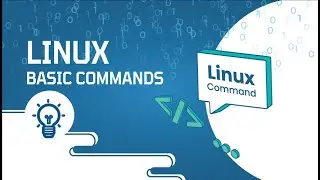 Basic Linux Commands