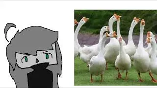 Вы когда нибуть гоняли гусей в парке meme MiHiKoFFe