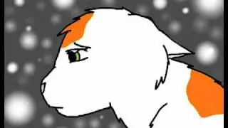 Brightheart and Swiftpaw (My immortal) Preview
