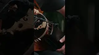 Dark Medieval Ballad. Kozlov Club 25.08.24 #shorts #hurdygurdy  #medievalmusic