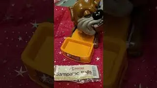 Sampaloc Balls from Merzi for maddog #ASMR #ANGRY dog #maddog #shorts (5)