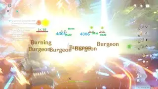Genshin Impact Pyro Traveller is a nuclear burgeon bomb!