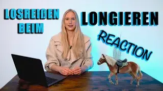 Was tun, wenn sich das Pferd beim LONGIEREN losreißt? Teil 1