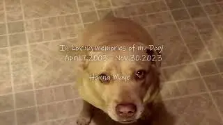 My BEST FRIEND 🐕"Hanna Maye"🐕😢😭😭😢