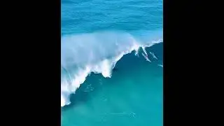 Catching some waves! dolphins flying in oceans #shorts