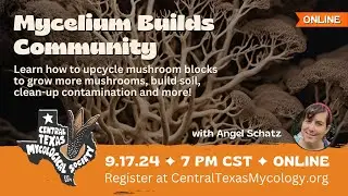 ONLINE: Mycelium Builds Community