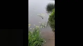 Занос,через саттелит.