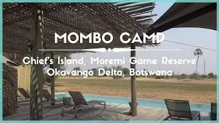 Celestielle #401 Mombo Camp, Chief's Island, Moremi Game Reserve, Okavango Delta, Botswana