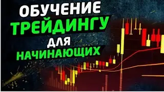 Обучение трейдингу 