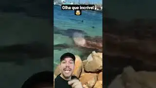Será que sobreviveu? 🤯 #curiosidade #ciencias #animal #incrível #shorts