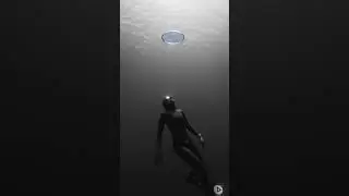first look Perspective