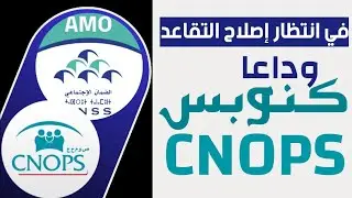 رسميا الحكومة تصادق على مشروع قانون تصفية كنوبس وادماجه في سنيسيس في انتظار إصلاح صناديق التقاعد
