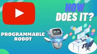 How Does A PROGRAMMABLE ROBOT Work