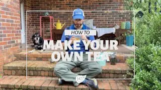 Beginner Tea Making Guide