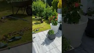 Моё любимое занятие. Огород 🌺🌸😊