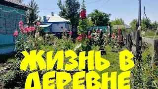 Сельская жизнь. Что купила на тысячу двести рублей