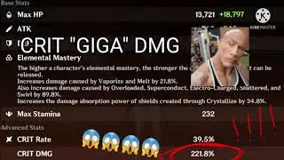 1:2 ratio vs Crit Dmg Enjoyer #genshinimpact #memes
