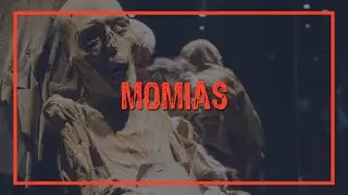 T5. E25: Leyendas de Momias