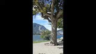 hard wind sound effect