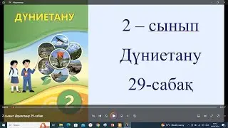 2 сынып Дүниетану 29 сабақ