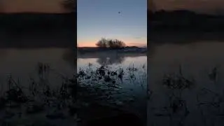 Duck Ponds after Sun-Down - UT next 4 min